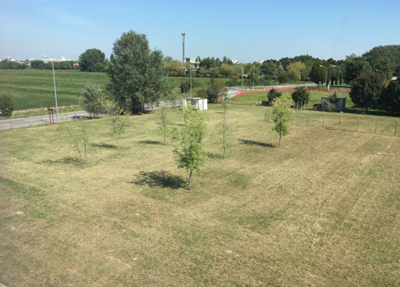 Accademia del Cane Padova